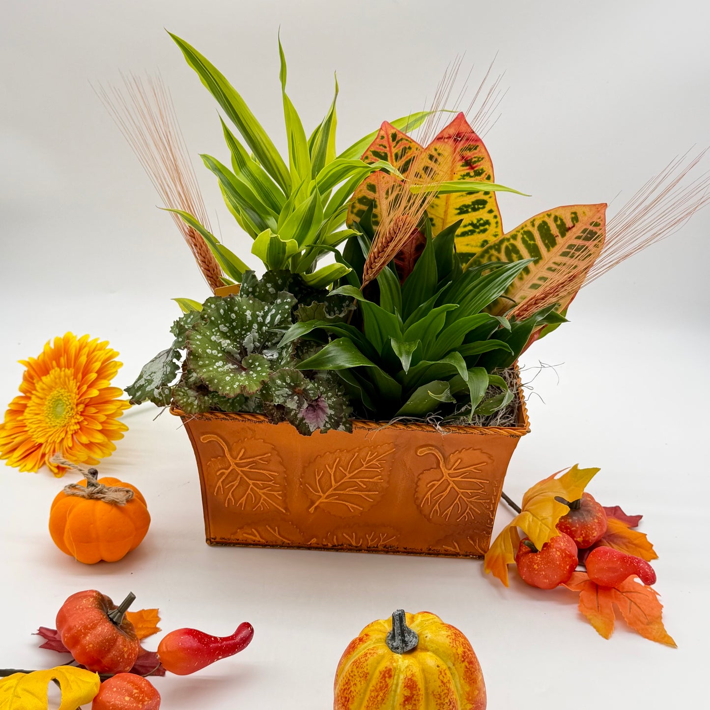 Fall Plant Box