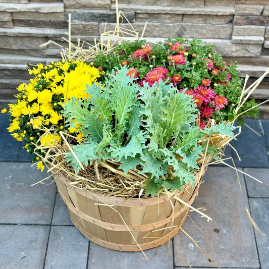 Extra Large Bushel Basket